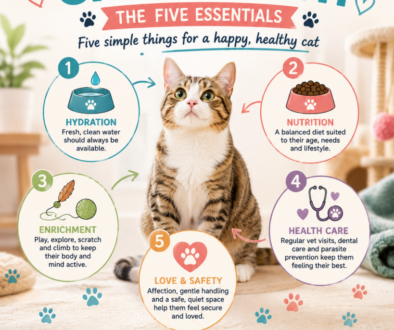 Infographic for happy healthy cat month