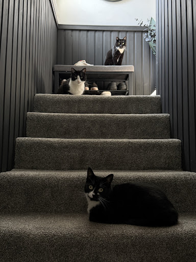 Home 5 review image 6a96d378f0842 0 media thumbnail 0