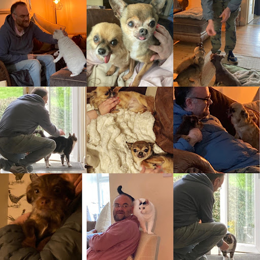 Home 8 review image 6a96d37944b55 0 media thumbnail 0